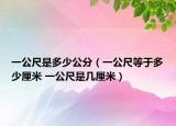 一公尺是多少公分（一公尺等于多少厘米 一公尺是几厘米）