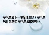 寒风凛冽下一句配什么好（寒风凛冽什么意思 寒风凛冽的意思）