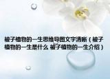 被子植物的一生思维导图文字清晰（被子植物的一生是什么 被子植物的一生介绍）