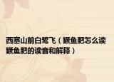 西塞山前白鹭飞（鳜鱼肥怎么读 鳜鱼肥的读音和解释）