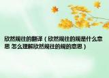 欣然规往的翻译（欣然规往的规是什么意思 怎么理解欣然规往的规的意思）