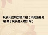凤奕大结局剧情介绍（凤奕角色介绍 关于凤奕的人物介绍）