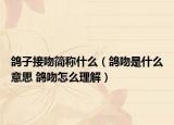 鸽子接吻简称什么（鸽吻是什么意思 鸽吻怎么理解）