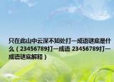 只在此山中云深不知处打一成语谜底是什么（23456789打一成语 23456789打一成语谜底解释）