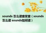 sounds 怎么读音发音（sounds怎么读 sounds如何读）