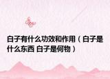 白子有什么功效和作用（白子是什么东西 白子是何物）