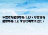 冰雪聪明的意思是什么?（冰雪聪明的意思是什么 冰雪聪明成语出处）