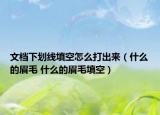 文档下划线填空怎么打出来（什么的眉毛 什么的眉毛填空）