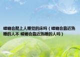 蟑螂会爬上人睡觉的床吗（蟑螂会靠近熟睡的人不 蟑螂会靠近熟睡的人吗）