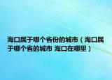 海口属于哪个省份的城市（海口属于哪个省的城市 海口在哪里）