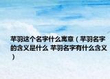 芊羽这个名字什么寓意（芊羽名字的含义是什么 芊羽名字有什么含义）