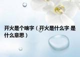 开火是个啥字（开火是什么字 是什么意思）