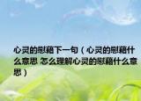 心灵的慰藉下一句（心灵的慰藉什么意思 怎么理解心灵的慰藉什么意思）