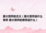 喜大普奔的含义（喜大普奔是什么意思 喜大普奔的意思是什么）