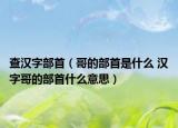 查汉字部首（哥的部首是什么 汉字哥的部首什么意思）