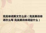 完美单词英文怎么读（完美英语单词怎么写 完美英语单词是什么）