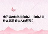我的灵魂伴侣是自由人（自由人是什么意思 自由人的解释）