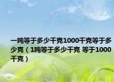 一吨等于多少千克1000千克等于多少克（1吨等于多少千克 等于1000千克）