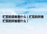 贮蓄的读音是什么（贮蓄的拼音 贮蓄的拼音是什么）