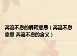奔流不息的解释意思（奔流不息意思 奔流不息的含义）