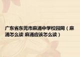 广东省东莞市麻涌中学校园网（麻涌怎么读 麻涌应该怎么读）