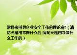 常用来指导企业安全工作的理论有?（消防犬是用来做什么的 消防犬是用来做什么工作的）