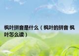 枫叶拼音是什么（枫叶的拼音 枫叶怎么读）