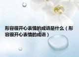 形容很开心表情的成语是什么（形容很开心表情的成语）