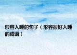 形容入睡的句子（形容很好入睡的成语）