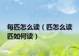 每匹怎么读（匹怎么读 匹如何读）