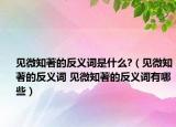 见微知著的反义词是什么?（见微知著的反义词 见微知著的反义词有哪些）