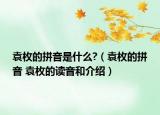 袁枚的拼音是什么?（袁枚的拼音 袁枚的读音和介绍）