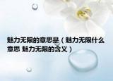 魅力无限的意思是（魅力无限什么意思 魅力无限的含义）