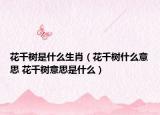 花千树是什么生肖（花千树什么意思 花千树意思是什么）