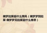 做梦拉屎是什么预兆（做梦梦到拉屎 做梦梦见拉屎是什么意思）