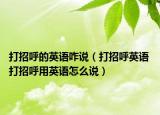 打招呼的英语咋说（打招呼英语 打招呼用英语怎么说）