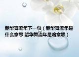 韶华舞流年下一句（韶华舞流年是什么意思 韶华舞流年是啥意思）