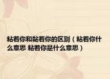 粘着你和黏着你的区别（粘着你什么意思 粘着你是什么意思）