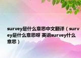 survey是什么意思中文翻译（survey是什么意思呀 英语survey什么意思）