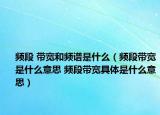 频段 带宽和频谱是什么（频段带宽是什么意思 频段带宽具体是什么意思）