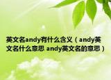 英文名andy有什么含义（andy英文名什么意思 andy英文名的意思）