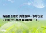 槑是什么意思 具体解释一下怎么读（槑是什么意思 具体解释一下）