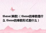 these(单数)（these的单数是什么 these的单数形式是什么）