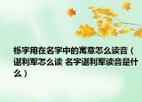 栎字用在名字中的寓意怎么读音（谌利军怎么读 名字谌利军读音是什么）