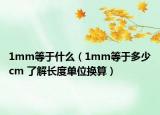 1mm等于什么（1mm等于多少cm 了解长度单位换算）