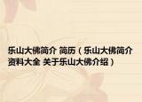 乐山大佛简介 简历（乐山大佛简介资料大全 关于乐山大佛介绍）