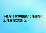 斗鱼吃什么食物最好（斗鱼吃什么 斗鱼喜欢吃什么）