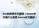 bes的意思中文翻译（besos中文是什么意思 besos中文翻译）