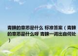 青睐的意思是什么 标准答案（青睐的意思是什么呀 青睐一词出自何处）