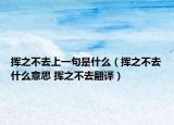 挥之不去上一句是什么（挥之不去什么意思 挥之不去翻译）